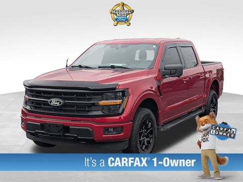 Used 2024 Ford F150 XLT w/ Equipment Group 302A MID AWD/4WD image 1
