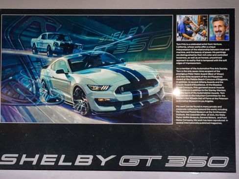Used 2016 Ford Mustang Shelby GT350R w/ GT350R Equipment Group 920A RWD image 12