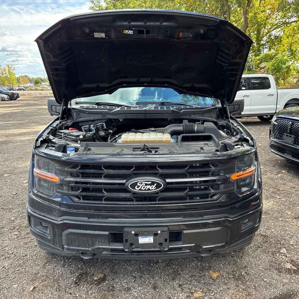 Used 2024 Ford F150 XLT w/ XLT Black Appearance Package AWD/4WD image 15