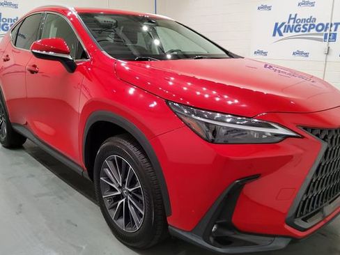 Used 2023 Lexus NX 350 AWD w/ Cold Area Package image 2