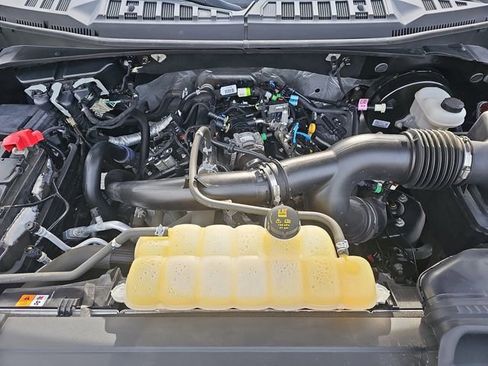 Used 2019 Ford F150 XLT w/ Equipment Group 302A Luxury image 32