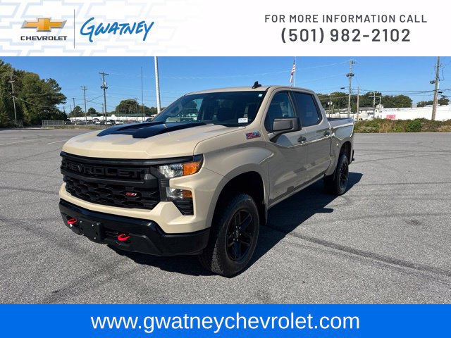 Used 2022 Chevrolet Silverado 1500 Custom Trail Boss AWD/4WD image 1