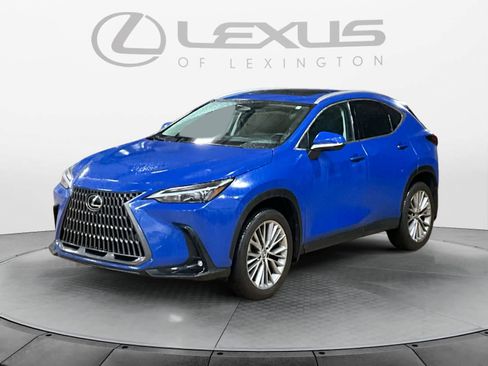 Certified 2025 Lexus NX 350h AWD w/ Cold Area Package image 1