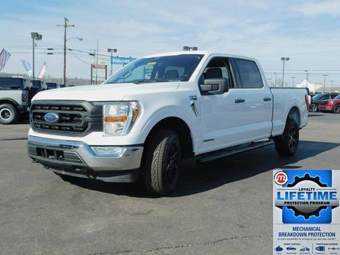 Used 2022 Ford F150 XLT w/ Equipment Group 301A Mid image 4