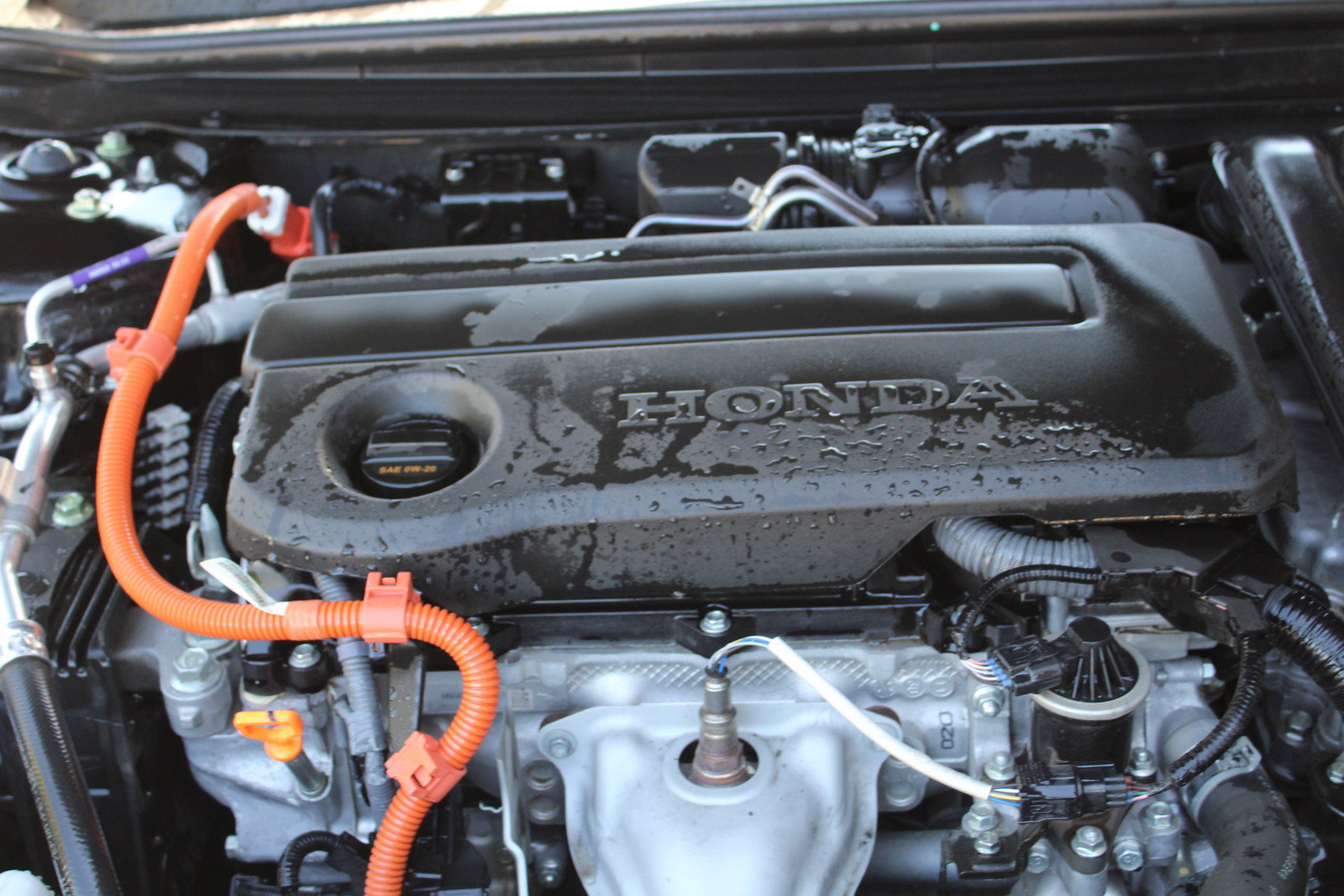 Used 2024 Honda Accord Touring image 19