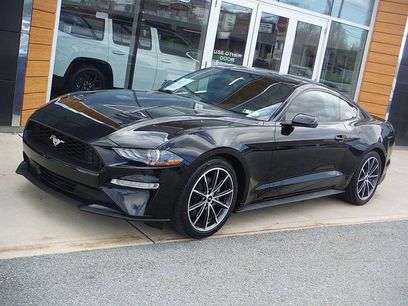 Used 2019 Ford Mustang Premium w/ Wheel & Stripe Package