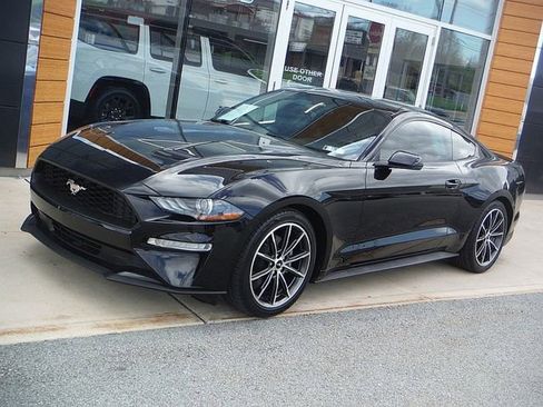 Used 2019 Ford Mustang Premium w/ Wheel & Stripe Package RWD image 1