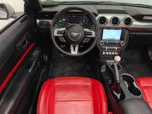 Used 2019 Ford Mustang Premium w/ Equipment Group 201A RWD image 4