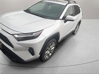 Certified 2025 Toyota RAV4 XLE Premium