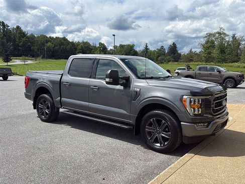 Used 2023 Ford F150 XLT w/ Equipment Group 302A High AWD/4WD image 6