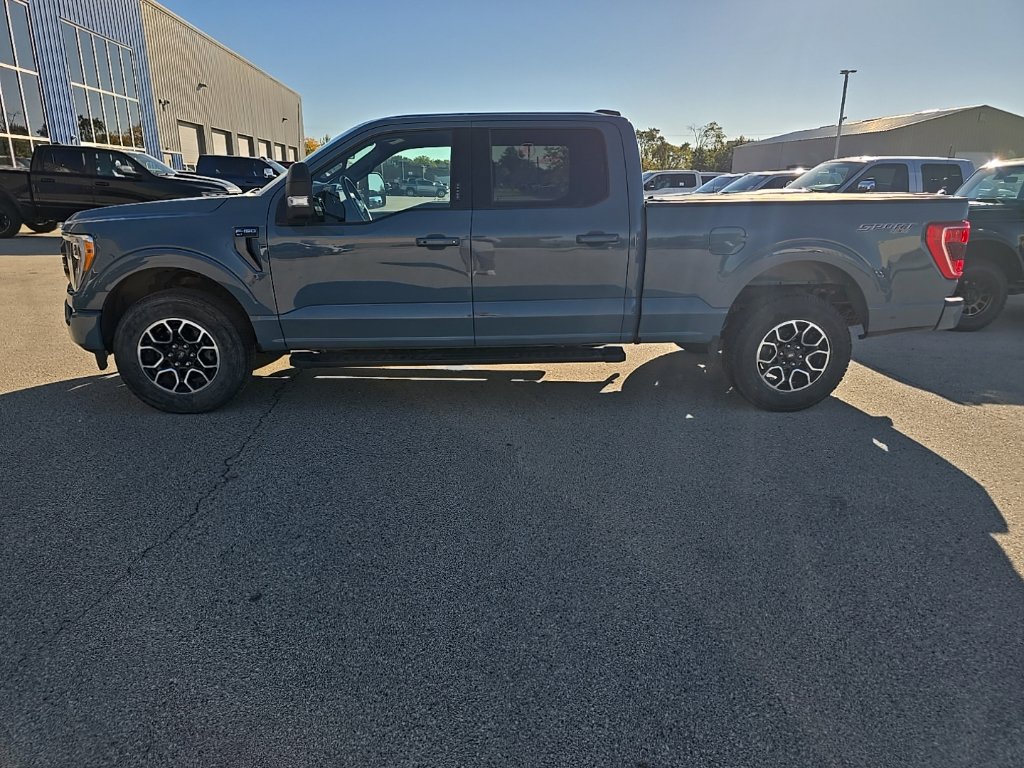 Used 2023 Ford F150 XLT w/ Equipment Group 302A High AWD/4WD image 3