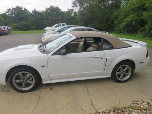 Used 2001 Ford Mustang GT RWD image 5
