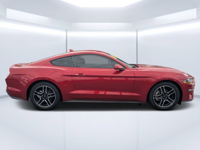 Used 2022 Ford Mustang Coupe w/ Equipment Group 101A RWD image 2
