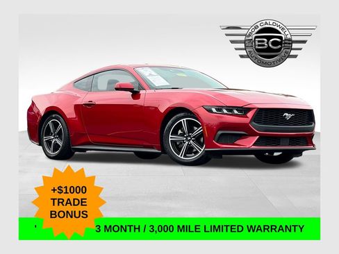 Used 2024 Ford Mustang Coupe RWD image 1