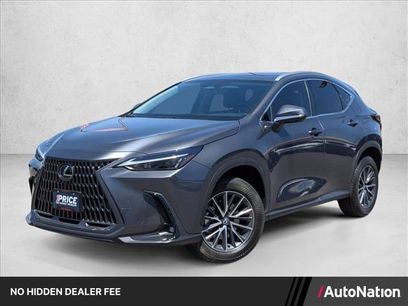 Used 2025 Lexus NX 350 AWD w/ Cold Area Package