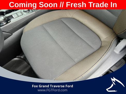 Used 2021 Ford Bronco Sport Badlands AWD/4WD image 11