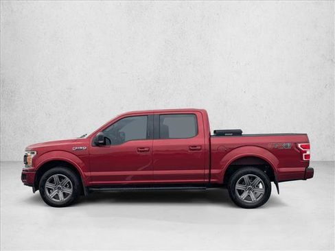 Used 2019 Ford F150 XLT w/ Equipment Group 302A Luxury AWD/4WD image 9