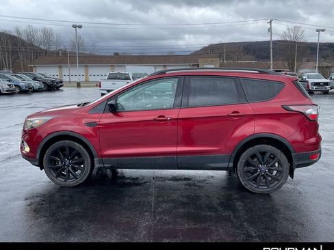 Used 2018 Ford Escape SE w/ SE Sport Appearance Package image 2