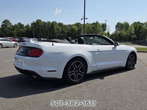 Used 2019 Ford Mustang Premium RWD image 5