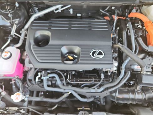 Certified 2025 Lexus NX 350h AWD w/ Cold Area Package image 22