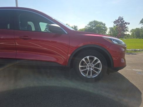 Used 2022 Ford Escape SE w/ Convenience Package FWD image 4