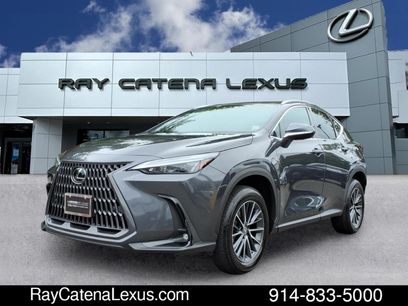 Certified 2025 Lexus NX 350h AWD w/ Cold Area Package