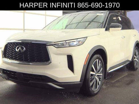 Used 2023 INFINITI QX60 Autograph w/ Cargo Package AWD/4WD image 1