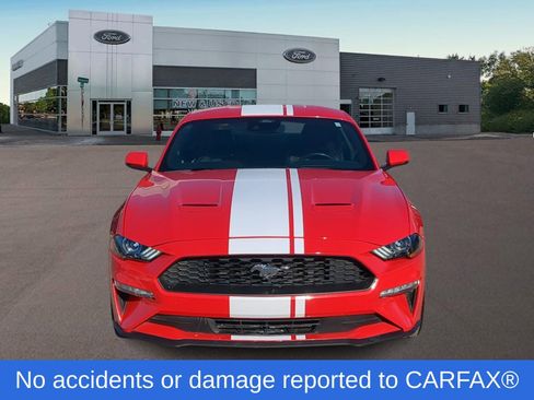 Used 2023 Ford Mustang Premium w/ Equipment Group 201A image 3