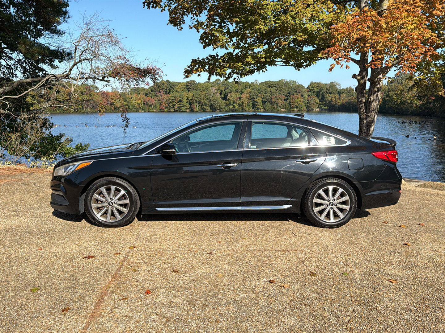 Used 2016 Hyundai Sonata Limited w/ Option Group 04 FWD image 12