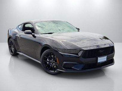New 2026 Ford Mustang Coupe w/ Mustang Nite Pony Package