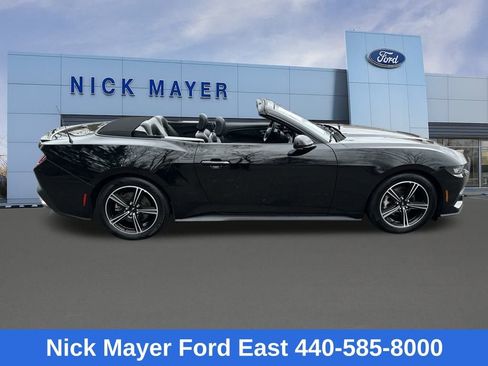 Used 2025 Ford Mustang Premium image 10