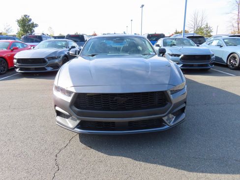 New 2026 Ford Mustang Coupe w/ Mustang Nite Pony Package image 2