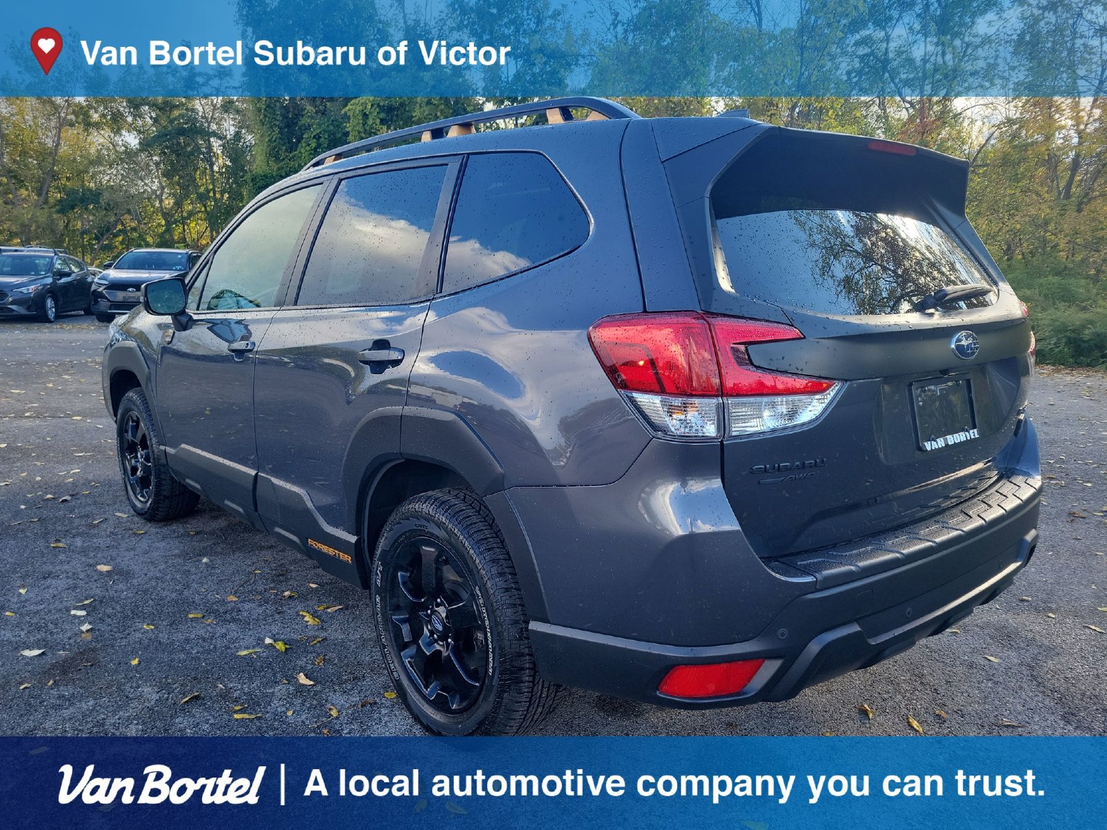 Certified 2023 Subaru Forester Wilderness AWD/4WD image 3