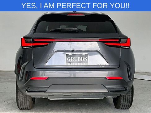 Used 2023 Lexus NX 350h AWD image 7
