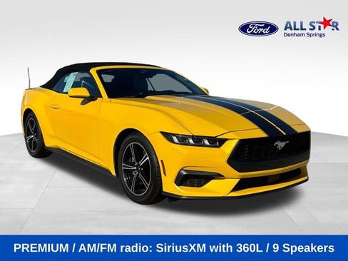 Used 2024 Ford Mustang Premium image 1