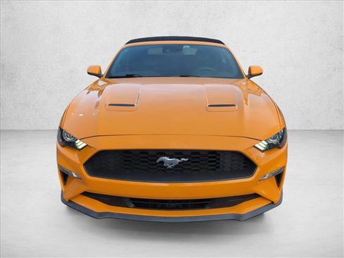 Used 2019 Ford Mustang Premium w/ Equipment Group 201A image 2