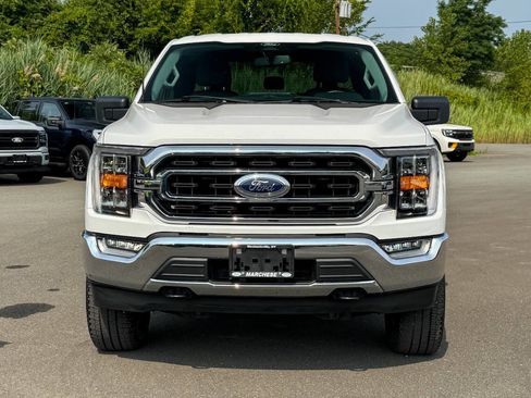 Used 2022 Ford F150 XLT w/ Equipment Group 302A High image 8