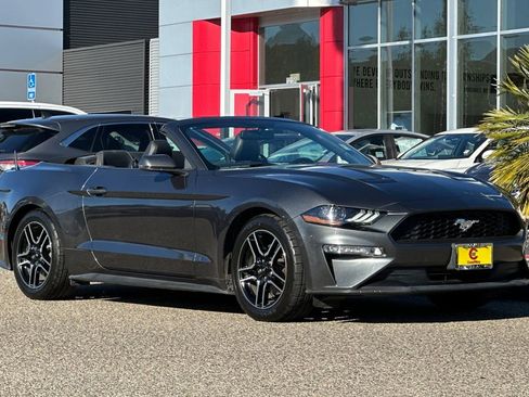 Used 2019 Ford Mustang Premium image 2
