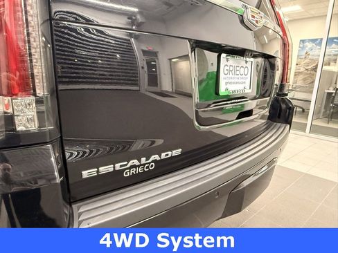 Used 2019 Cadillac Escalade Platinum image 10