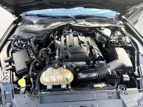 Used 2018 Ford Mustang Premium image 16