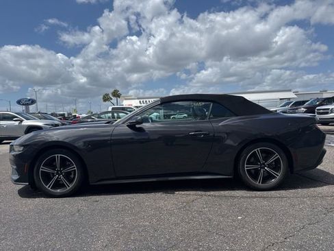 Used 2024 Ford Mustang Premium image 2