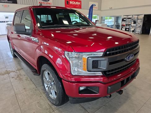 Used 2019 Ford F150 XLT w/ Equipment Group 302A Luxury AWD/4WD image 5