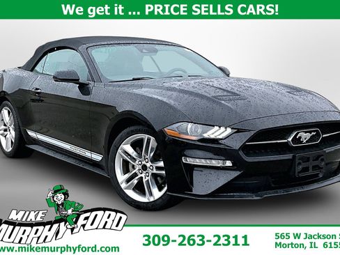 Used 2020 Ford Mustang Premium w/ Equipment Group 201A image 1