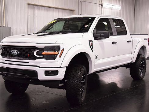 New 2025 Ford F150 STX w/ Equipment Group 200A image 3