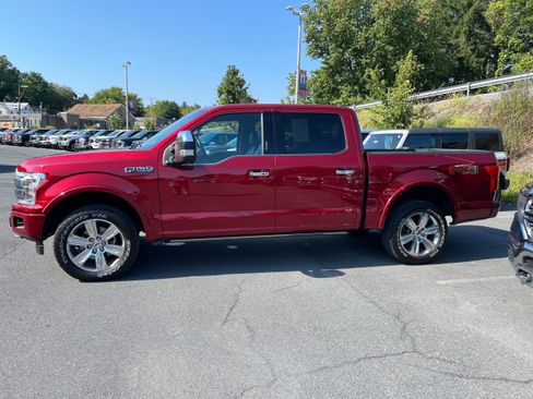 Used 2019 Ford F150 Platinum w/ Equipment Group 701A Luxury AWD/4WD image 12
