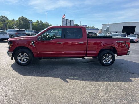 Certified 2025 Ford F150 XLT w/ Equipment Group 301A Standard AWD/4WD image 6