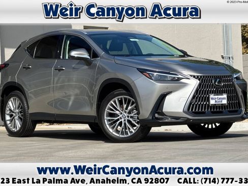 Used 2025 Lexus NX 350 AWD w/ Cold Area Package image 1