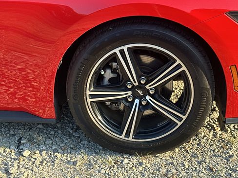 Used 2025 Ford Mustang Premium RWD image 12