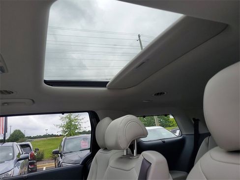 New 2026 Kia Carnival SX image 13