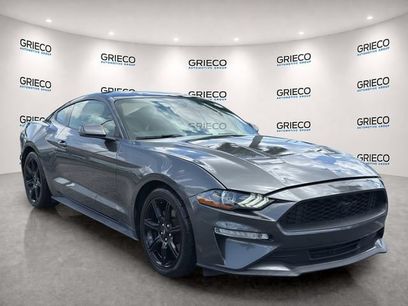 Used 2019 Ford Mustang Premium w/ Equipment Group 201A
